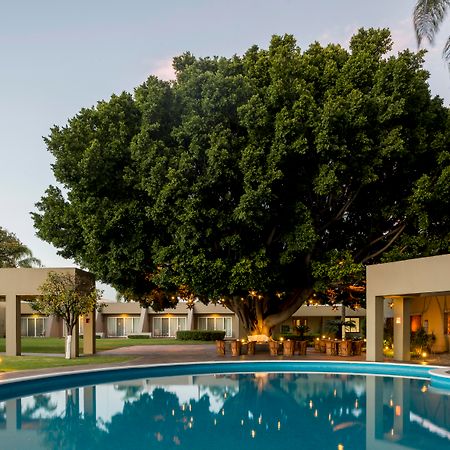 卡米诺雷亚尔瓜达拉哈拉酒店 萨波潘 外观 照片 The Banyan Resort