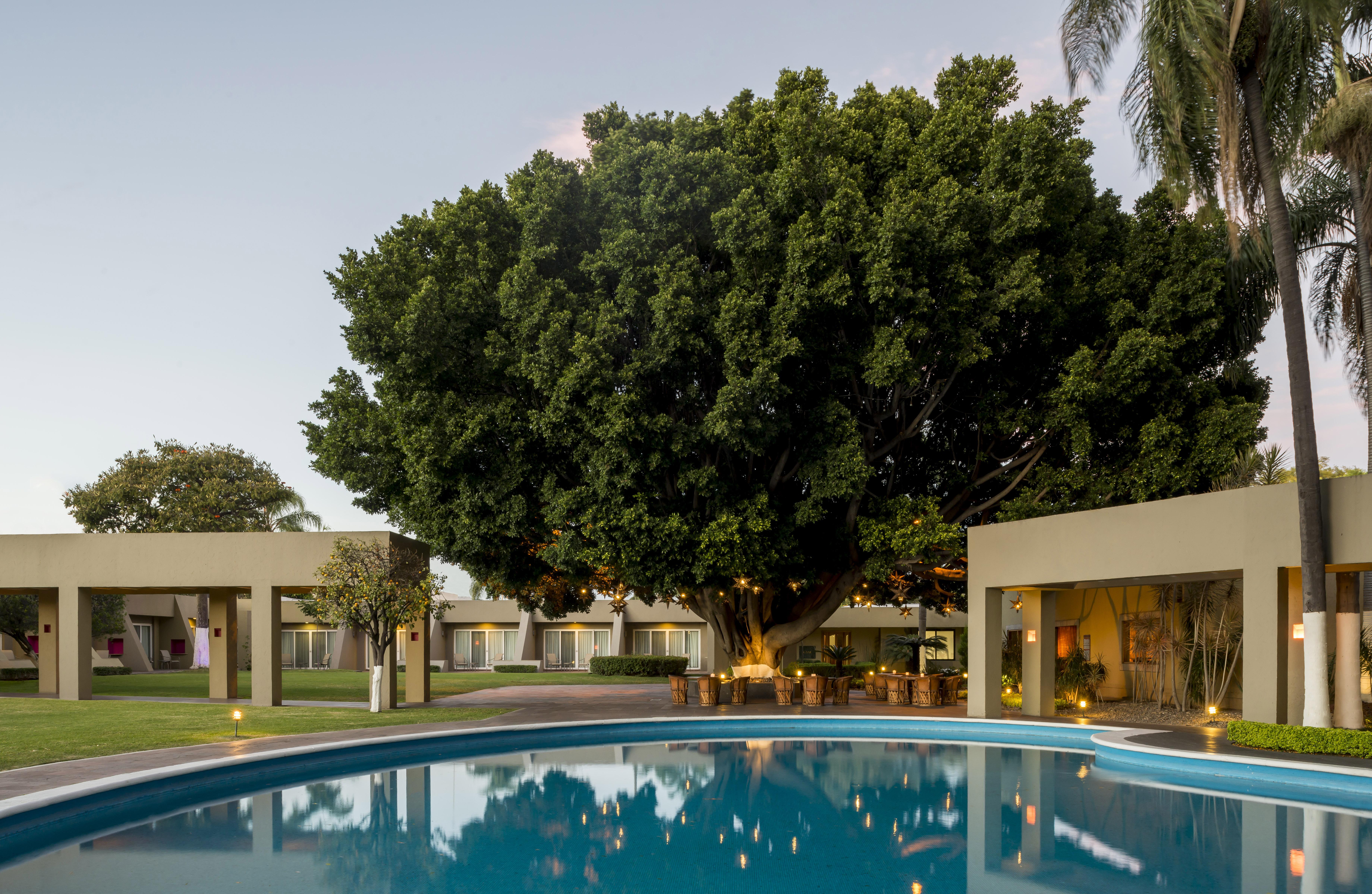 卡米诺雷亚尔瓜达拉哈拉酒店 萨波潘 外观 照片 The Banyan Resort